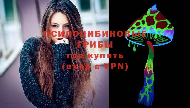 Галлюциногенные грибы Psilocybe  Гороховец 